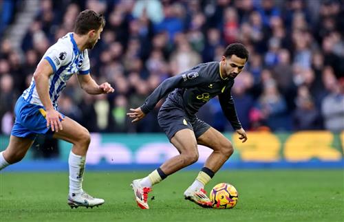Brighton-Everton