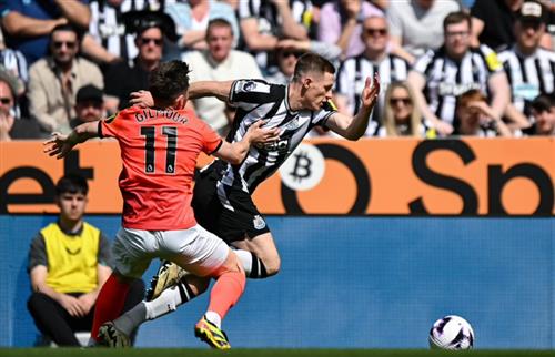 Newcastle United-Brighton
