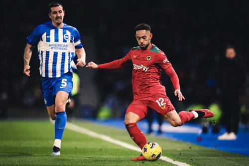 Brighton contra lobos