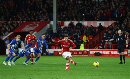 Bosque de Nottingham contra Brighton