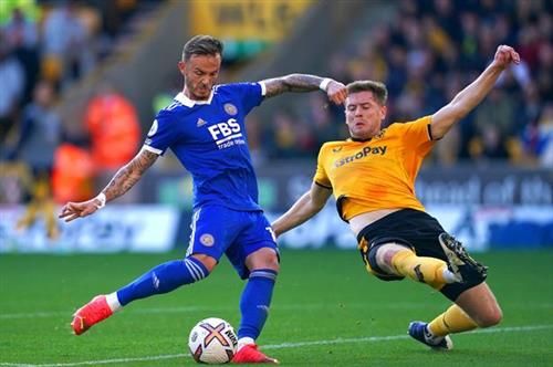 Leicester City contra lobos
