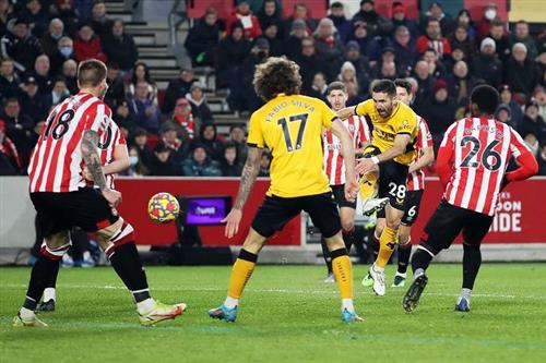 Brentford contra lobos