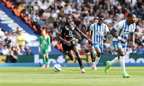 Brighton-Leicester City