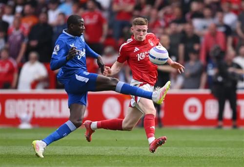 Bosque de Nottingham vs Everton