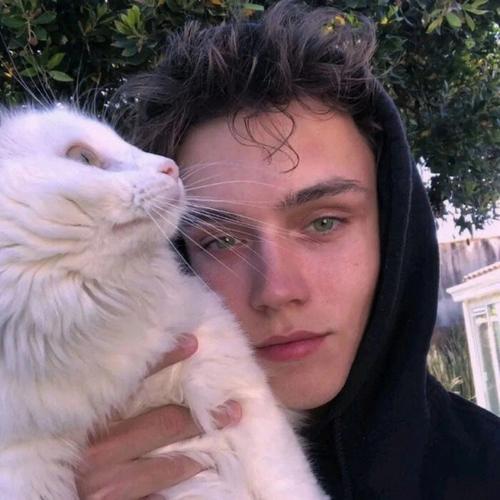 6686体育钻石作者十梦九他